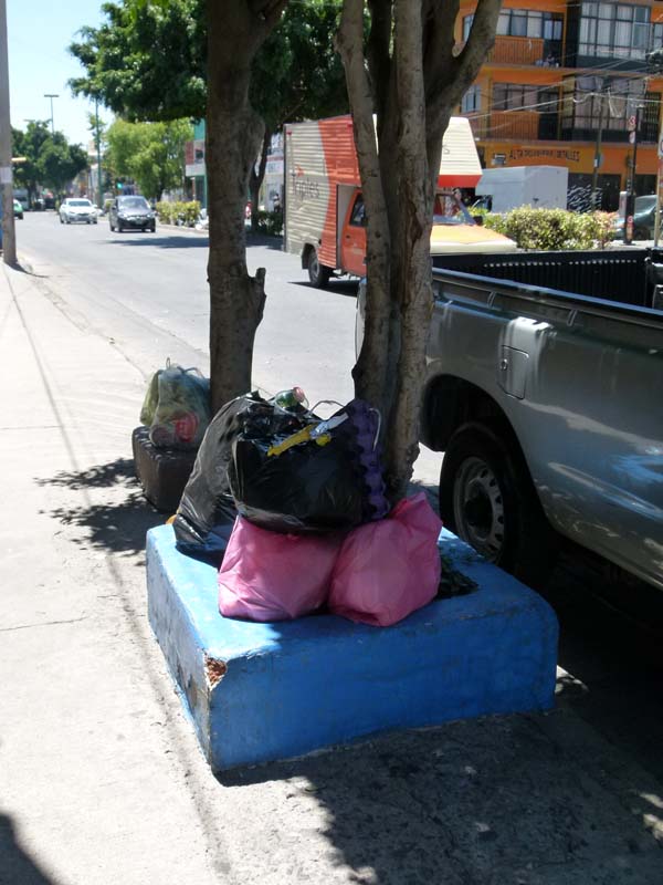 No se ha recogido basura de Zona Piel en una semana