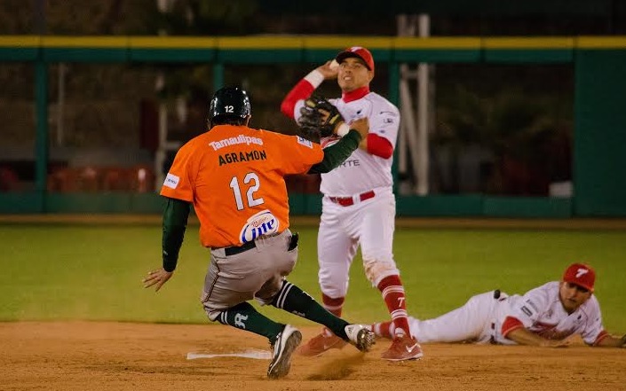 Toros