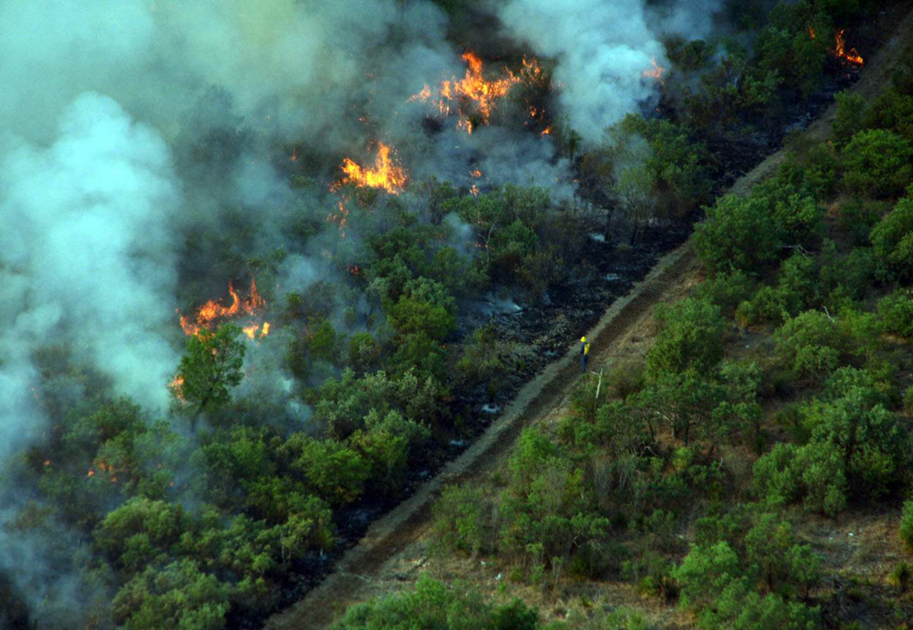 El objetivo de los centros es el control más eficaz del fuego en bosques y areas vegetativas.
