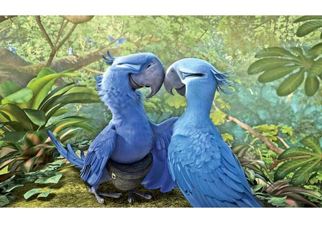 Perlas y Blu se trasladarán con su tres hijos al Amazonas.