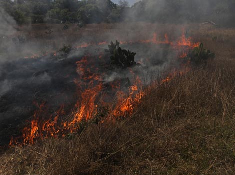 El incendio de San Agustín Tlaxiaca fue el de mayor afectación.