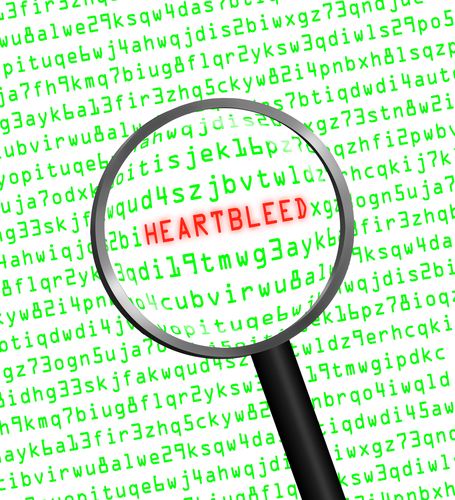 La buena noticia es que ya actualizaron sus sistemas la mayoría de los grandes sitios web que eran vulnerables a la falla.