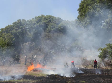 Brigadas forestales en sus jornadas de contención de incendios en diversas zonas de la entidad. 
