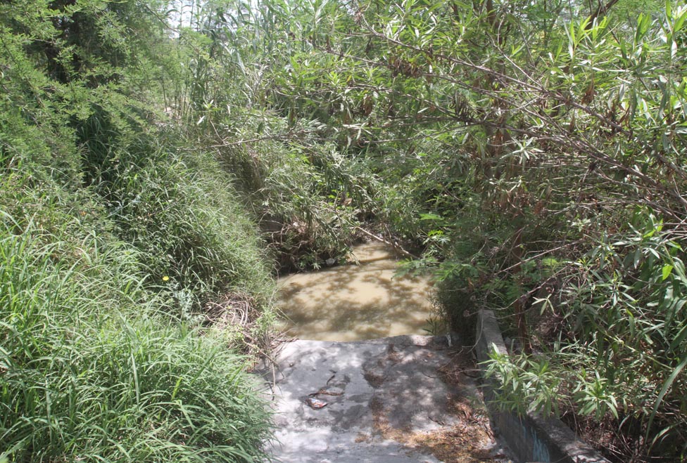 Carretoneros y algunos habitantes también tiran basura.