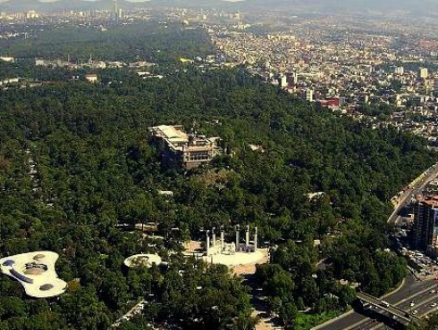 A unos minutos de donde los problemas urbanos se generen, el Bosque de Chapultepec guarda para sus visitantes un espacio para relajarse, conocer o ave