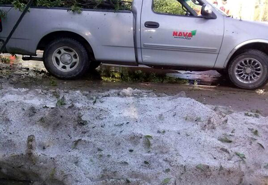 El equipo de Protección Civil de Nava ayudó a retirar ramas de árbol y hielo.