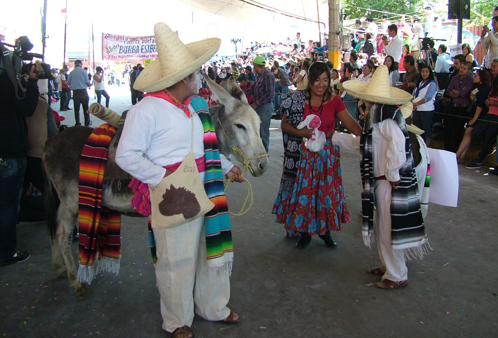 Participandes del año pasado en la Feria del Burro en Otumba.