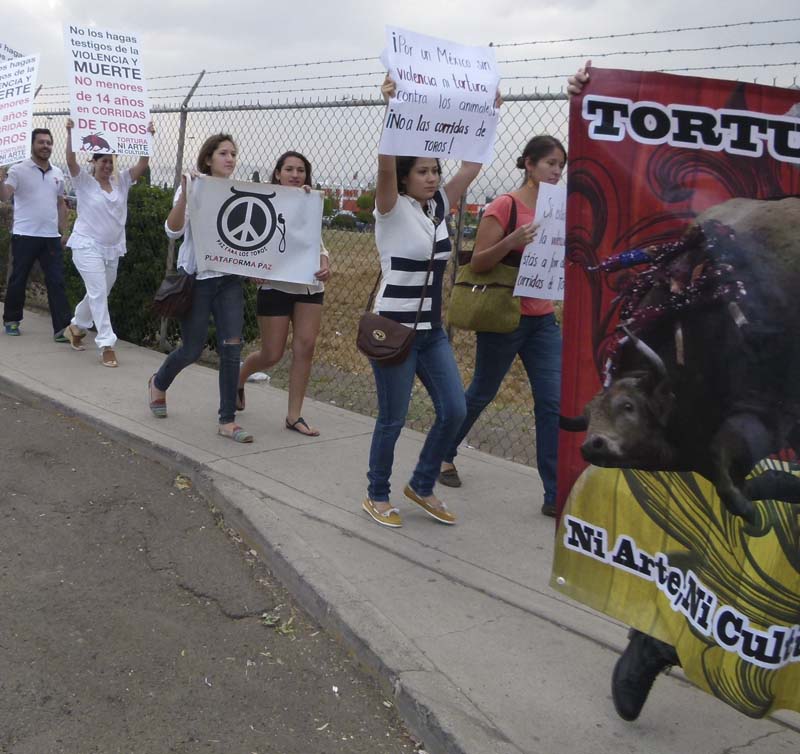 Manifestantes en su marcha hacia el Festejo Taurino.