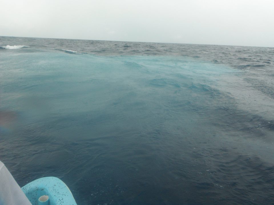 El agua en la zona donde se ubica la plataforma se ve con aceite. 