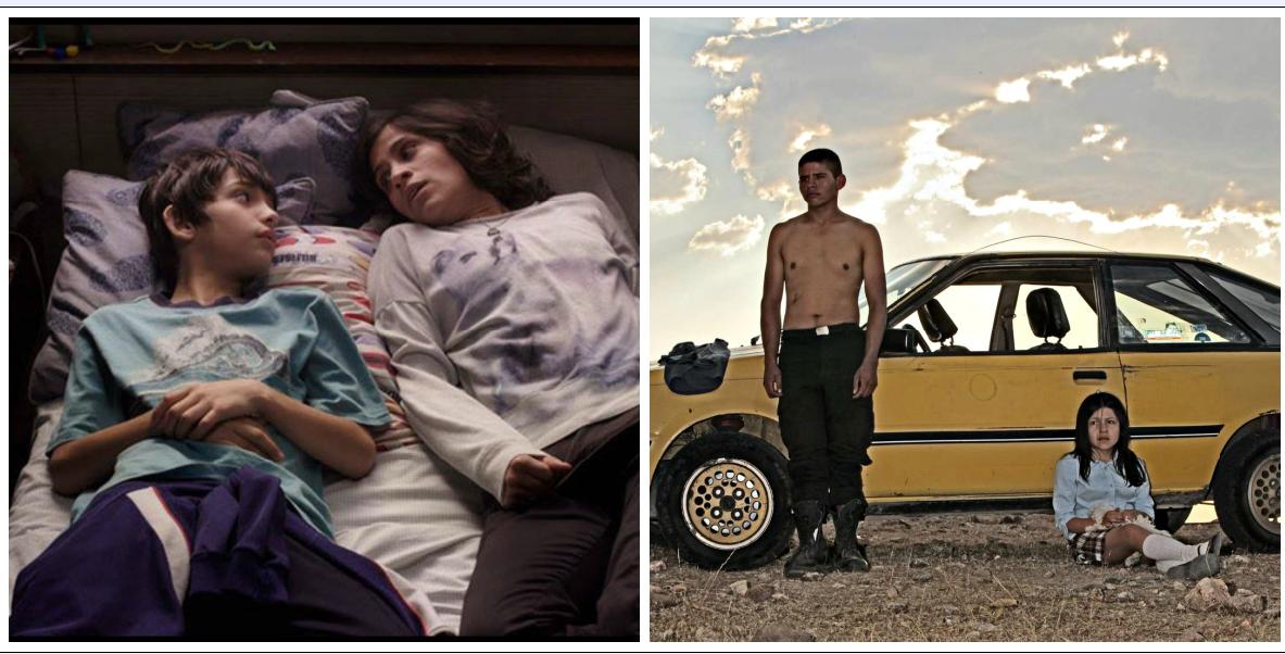Ambas películas han causado comentarios polémicos tras su exhibición.
