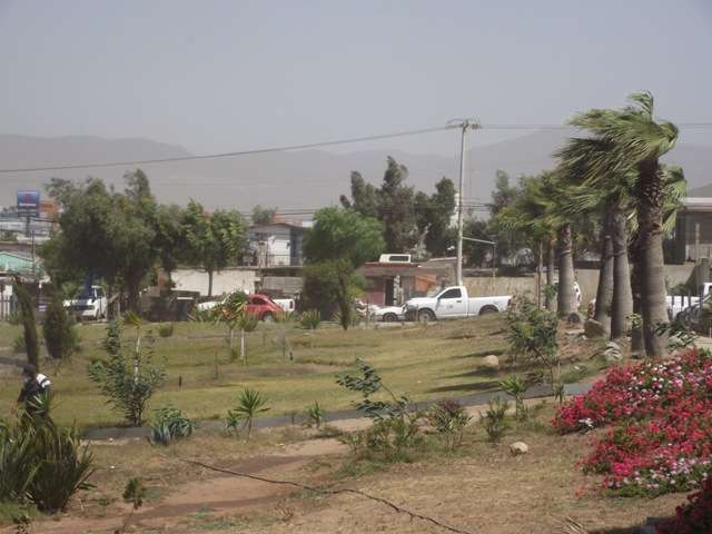 Incendios en Ensenada
