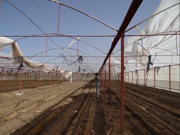 Invernaderos Ensenada