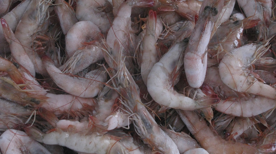  El asesor de la Cámara Nacional de la Industria Pesquera y Acuícola (Canaipesca) en Tampico, Nicanor Fernández Cabrera, explicó que en este momento l