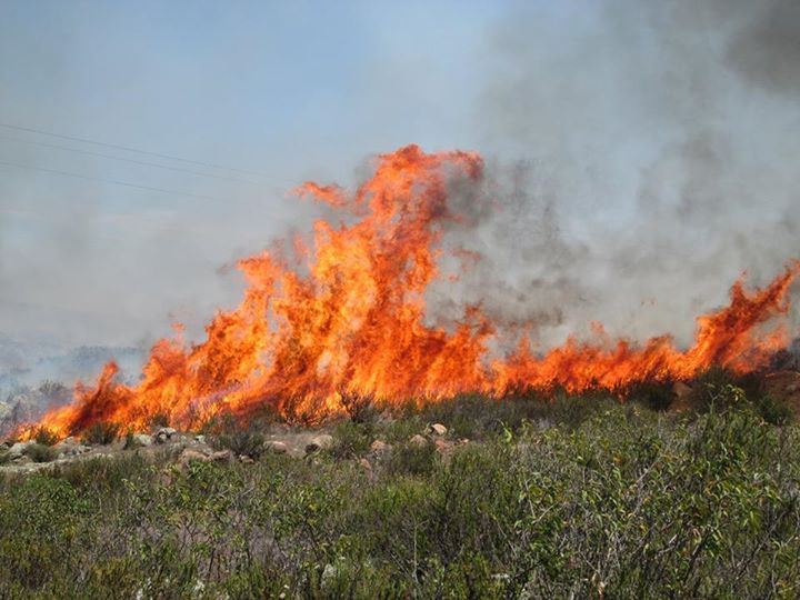 Incendio en La Mentada