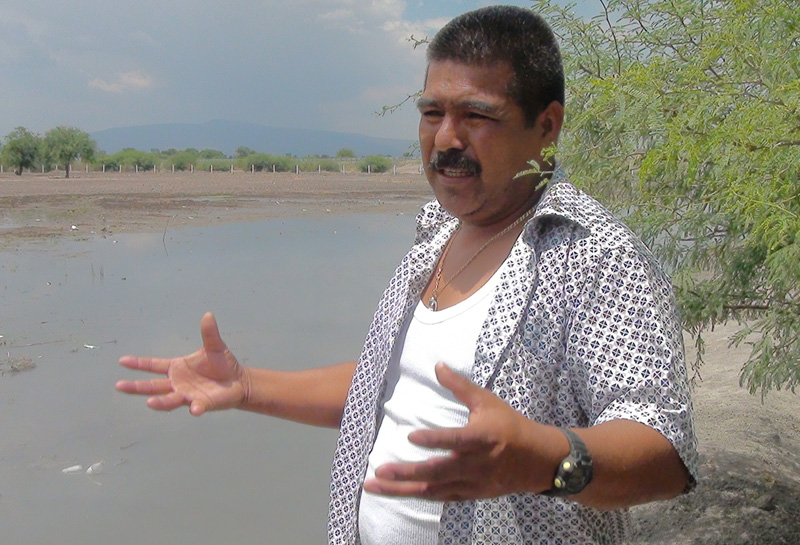 Los vecinos narran el caso.