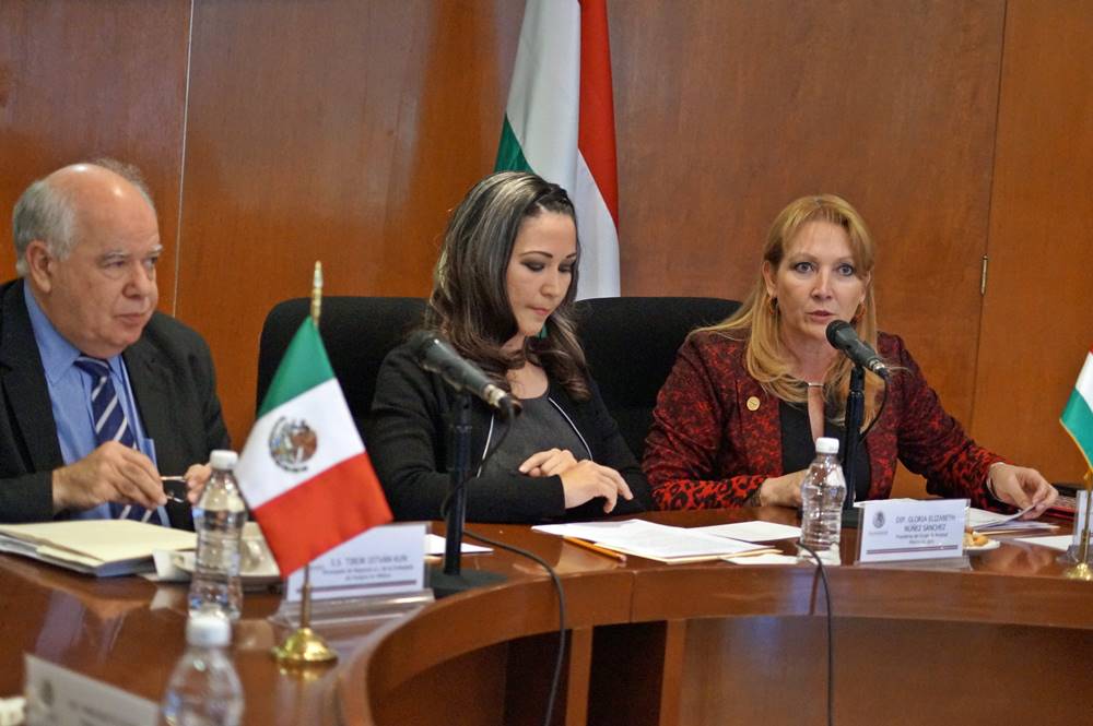 Mirna Hernández Morales. 