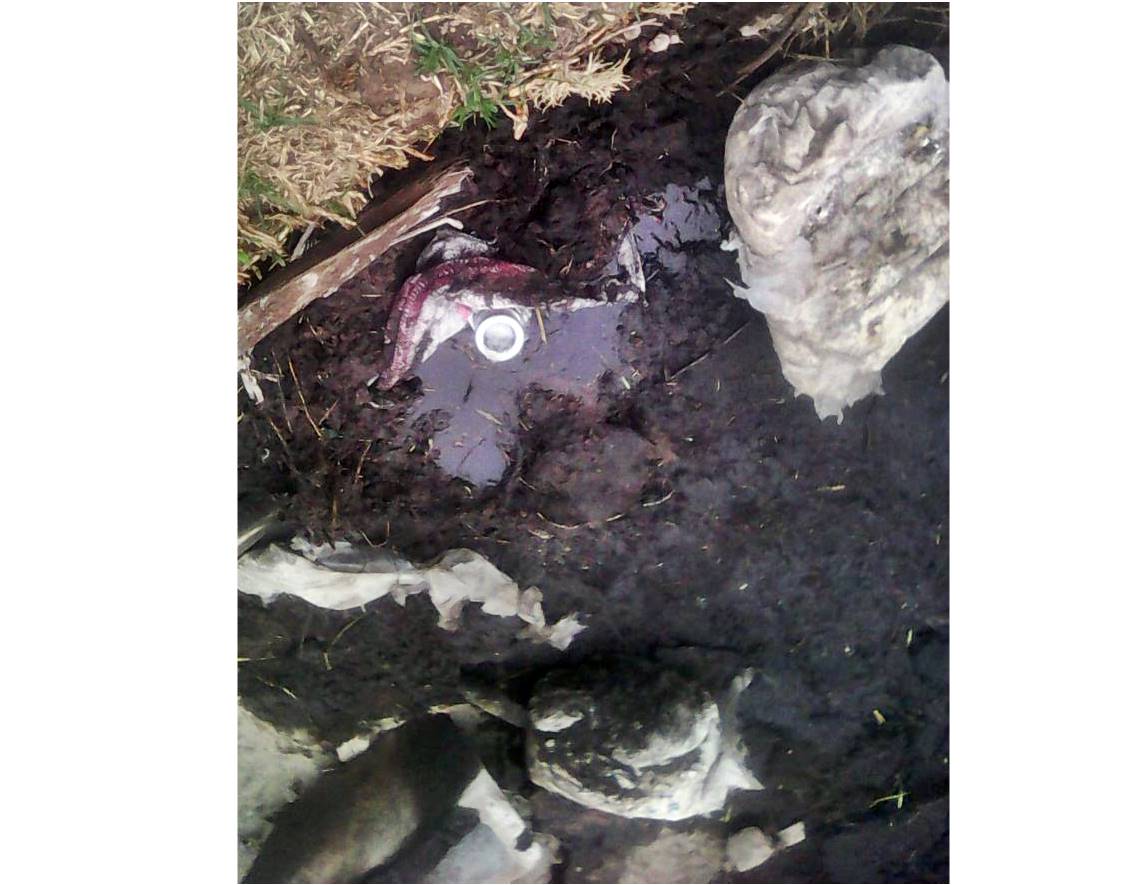 Inmediaciones de la toma clandestina. 