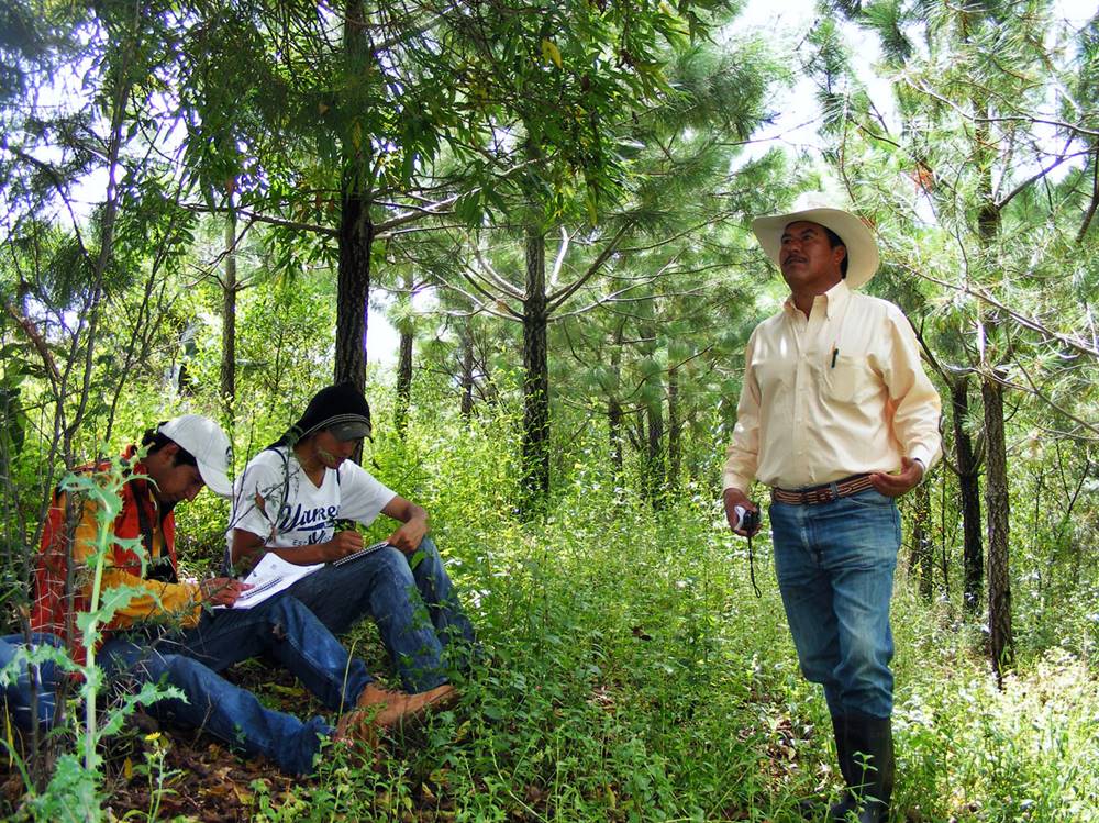 Ejidatarios de la región realizan visitas guiadas a estudiantes de carreras como agronomía. 