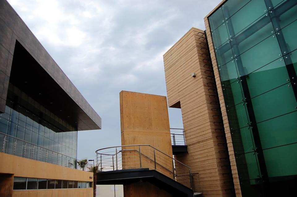Cine Ceart