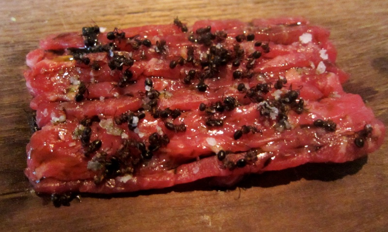 Carne con hormigas.