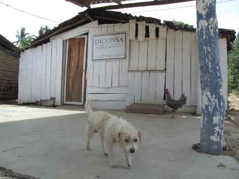 La pequeña tienda de Diconsa luce cerrada y abandonada.