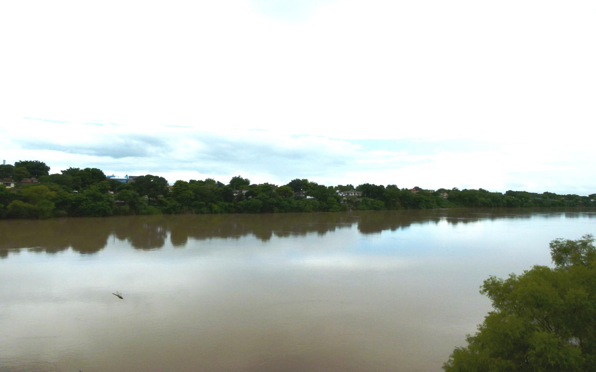 Temen contaminación de salinidad del río Pánuco por bajos niveles ante una inminente sequía histórica.
