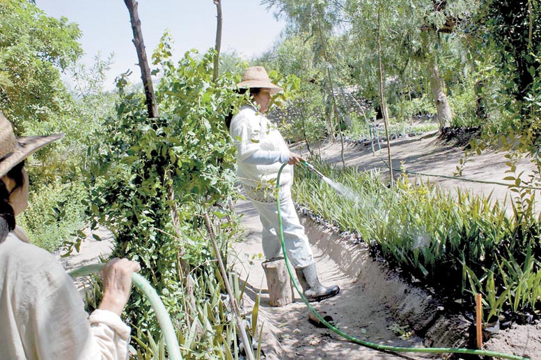 En el vivero El Calvario no existe un maestro que haya nacido en 1912, como reportó el Imco.