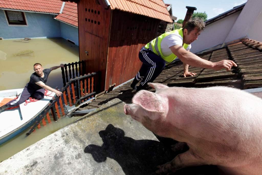 Las peores inundaciones en décadas que vive la región de los Balcanes han dejado al menos 40 muertos en Serbia, Bosnia y Croacia, miles de personas ev