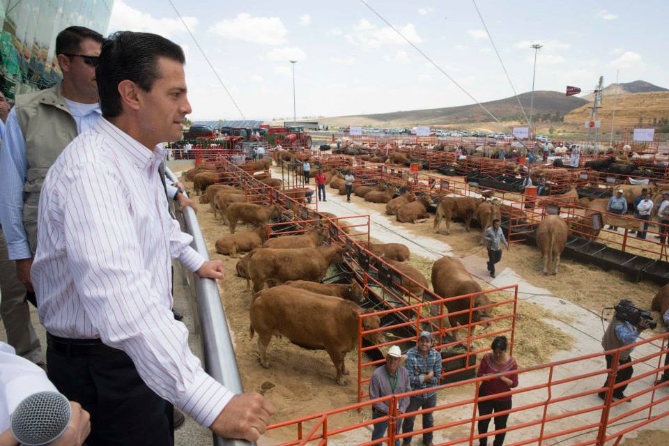 El presidente Enrique Peña Nieto durante la inauguración de la LXXVIII Asamblea General Ordinaria de la Confederación Nacional de Organizaciones Ganad