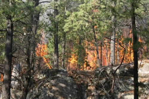 Incendio en Chihuahua