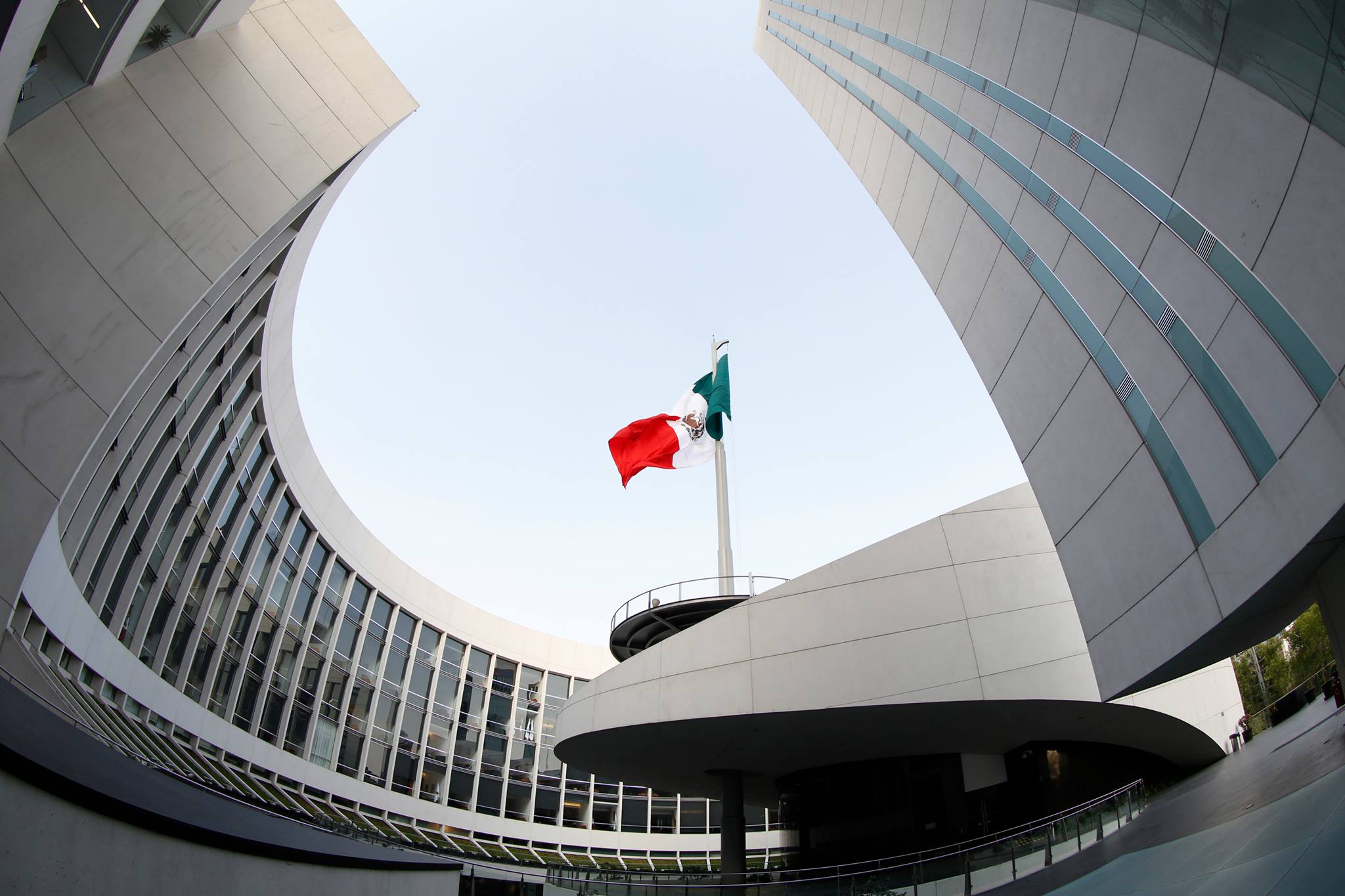 El Senado de la República. 