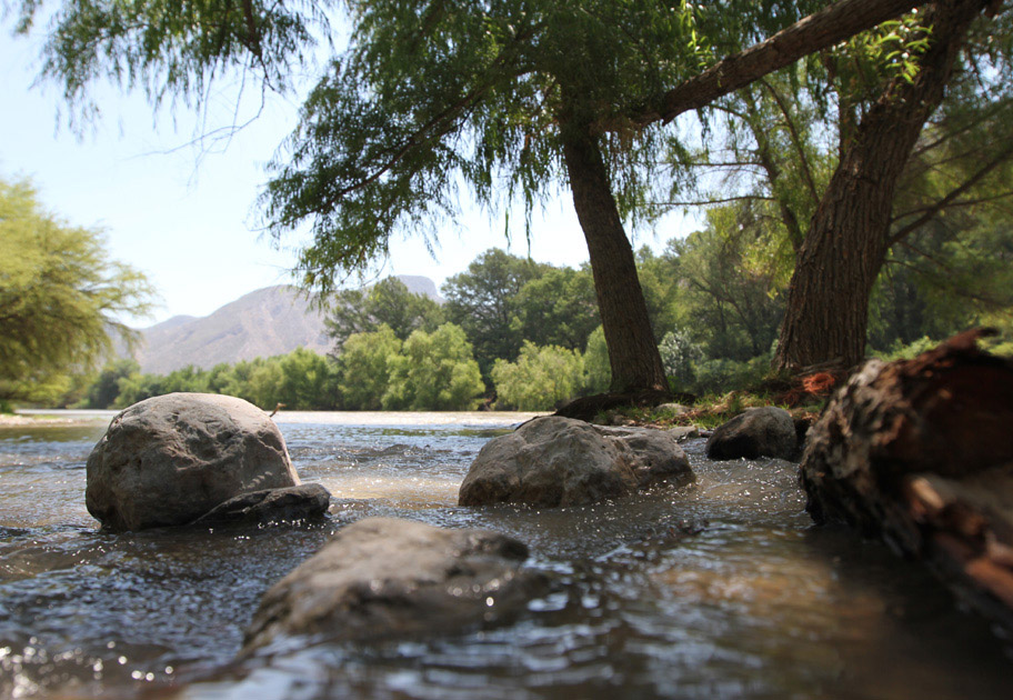 Desde panoramas desérticos hasta humedales son los ecosistemas que existen ahí.