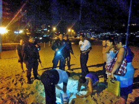 Al lugar llegaron elementos de la Policía Federal, quienes trasladaron a las instalaciones de la Marina Armada de México los 101 huevos.