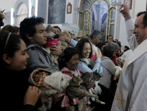 Las reglas cambian en el Distrito Federal para la tenencia de mascotas.