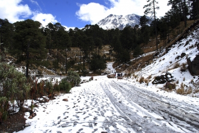 Aproximadamente 200 ejidatarios de tierras comunales del Nevado de Toluca han aceptado cambiar su actividad de cultivo por siembra de árboles, informó