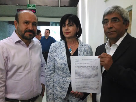 Legisladores del Panal entregaron la solicitud en la Oficialía de Partes del Congreso del Estado.