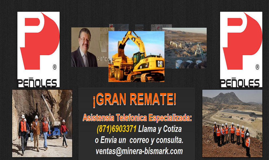 Web falsa.