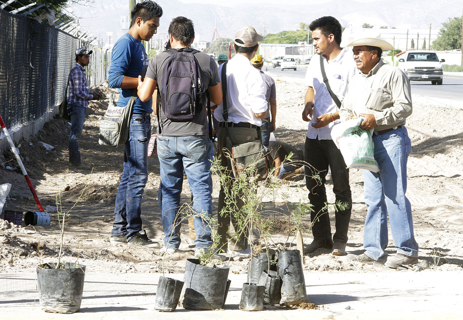 Esperan plantar mil 200 árboles en la zona.