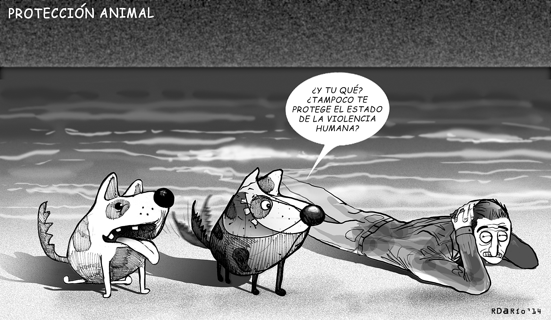 PROTECCIÓN ANIMAL