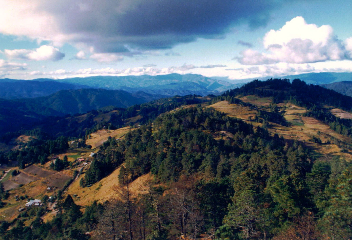 Sierra de Tamaulipas