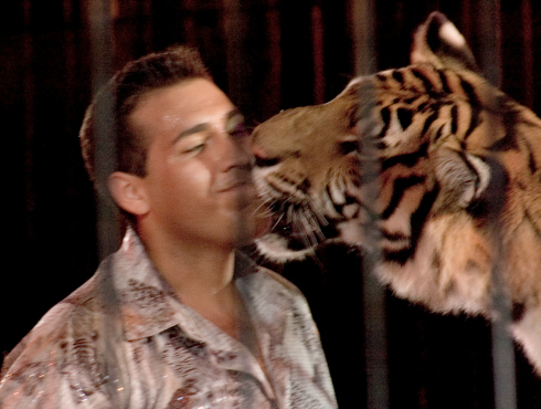 Uno de los actos presentados con animales por el Circo Atayde Hermanos.