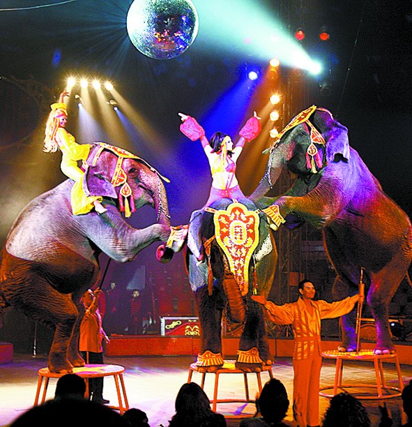 Circos