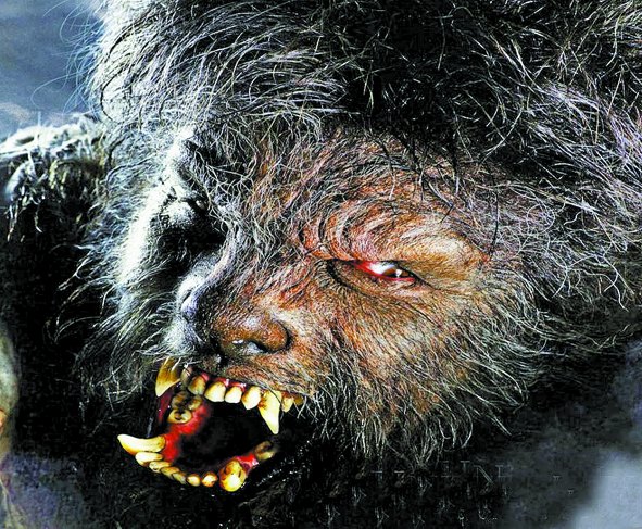 Lobo del hombre