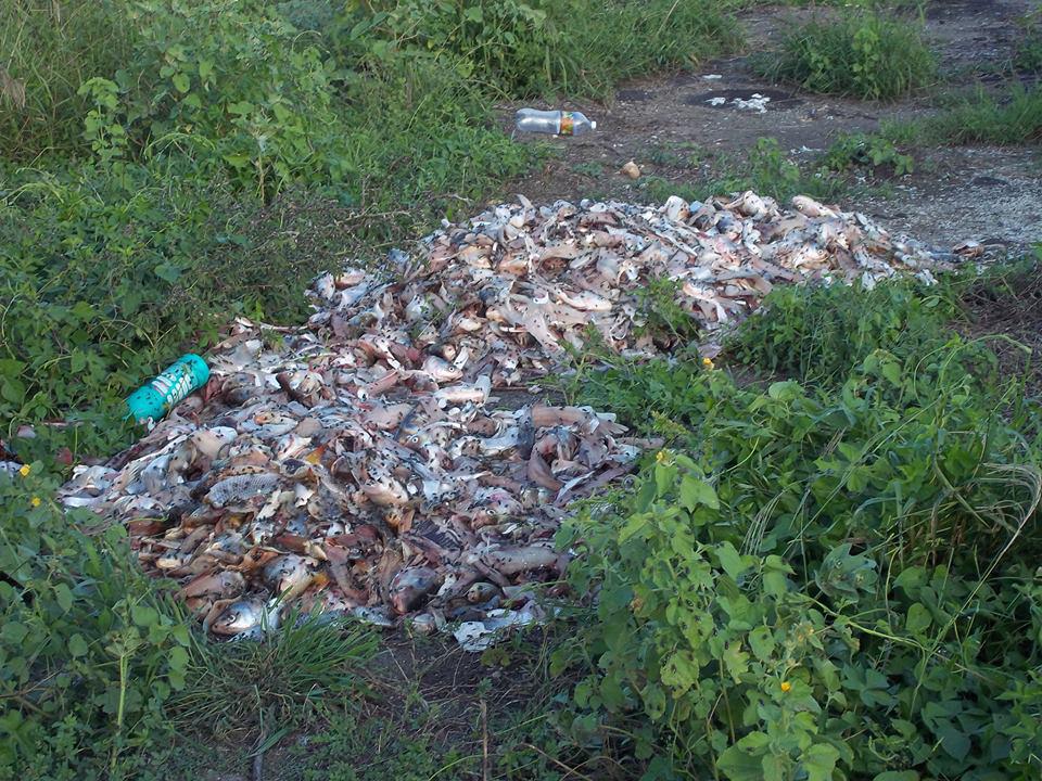 Hasta los pescadores dejan desperdicios en los mantos acuíferos.
