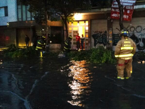 Bombertos rescataron a tripulantes de tres vehículos, sobre los cuales cayó un árbol derribado por la intensa lluvia, en Insurgentes y Antonio Caso.