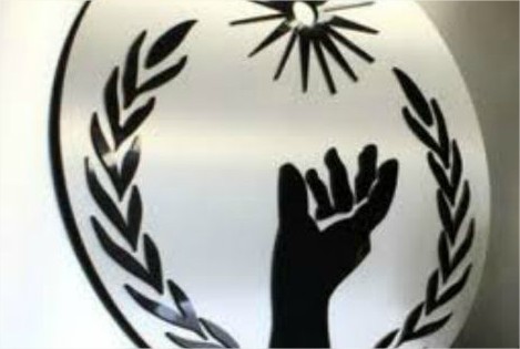 Comisión Nacional de Derechos Humanos.