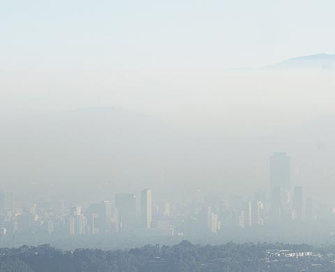 El aire de la Ciudad de México está mezclado con smog y materia fecal pulverizada. 