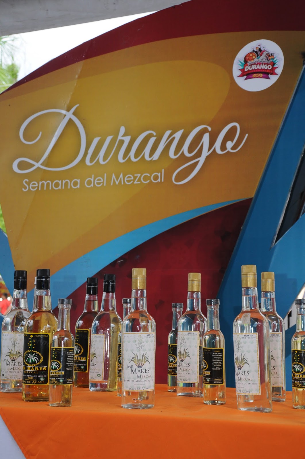 Producción de mezcal en Durango afectada por la tala inmoderada de maguey.