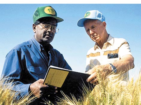 Rajaram trabajó en el Cimmyt con Norman Borlaug.