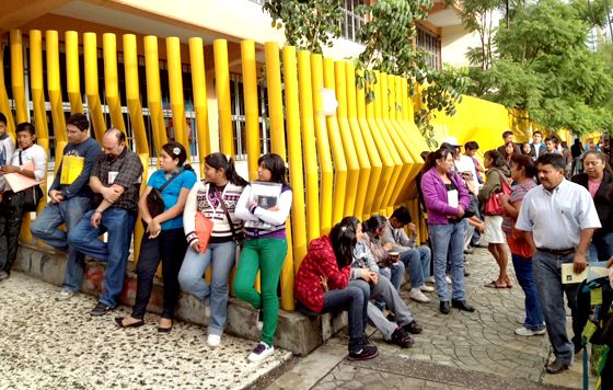 6 de cada 10 logran integrarse a alguna empresa 